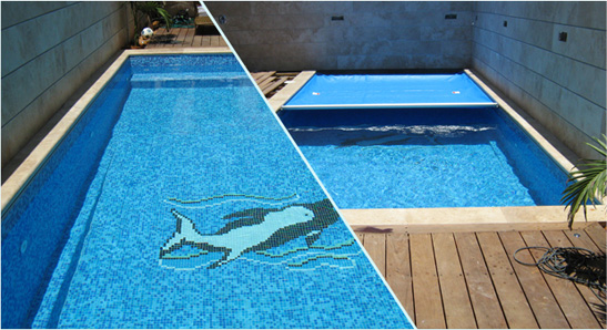 אחזקות ברייכות שחייה